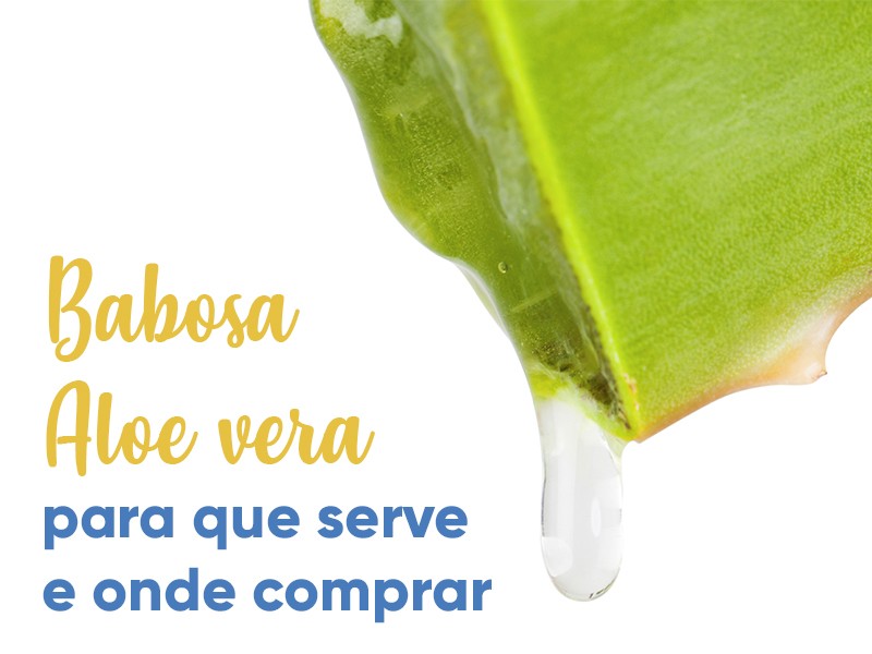 Babosa (Aloe vera): para que serve e onde comprar